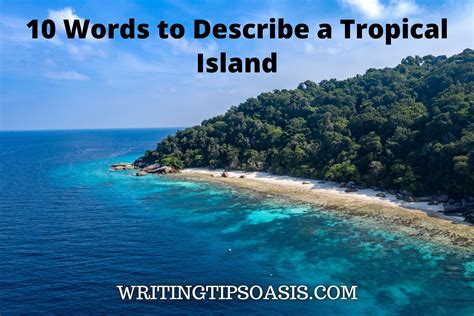 words related to tropical.